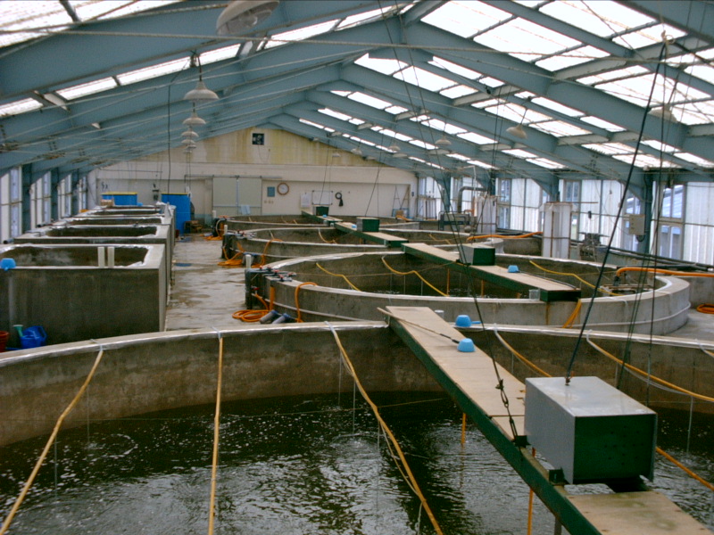 Aquaculture water quality monitoring